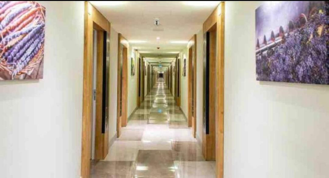 Lamar Hotel 巴统 客房 照片